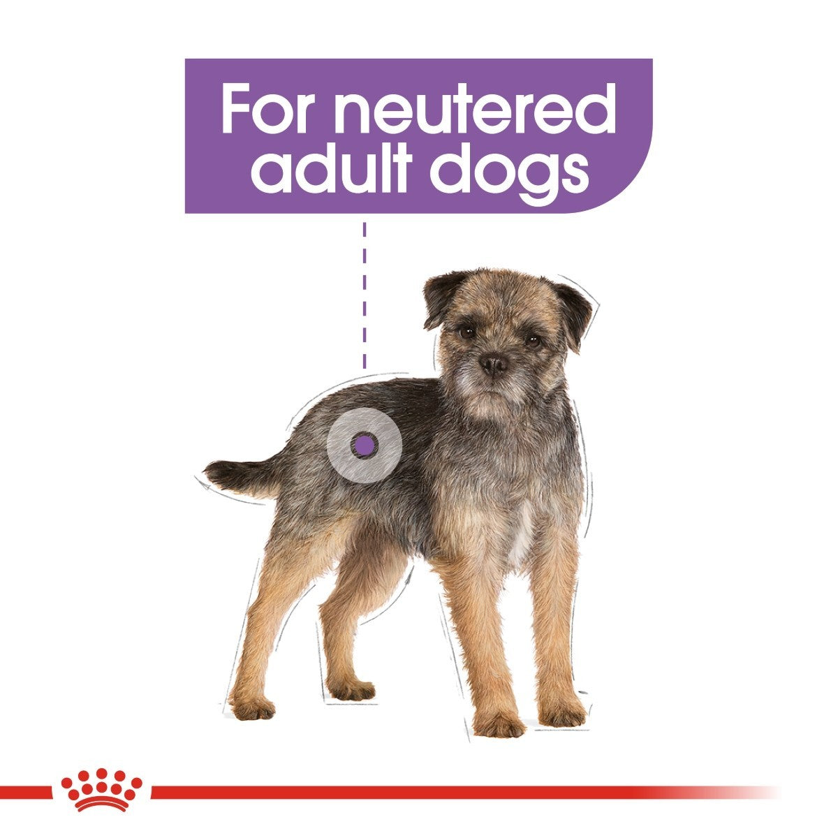 Royal Canin Mini Sterilised Care Dry Dog Food 3kg