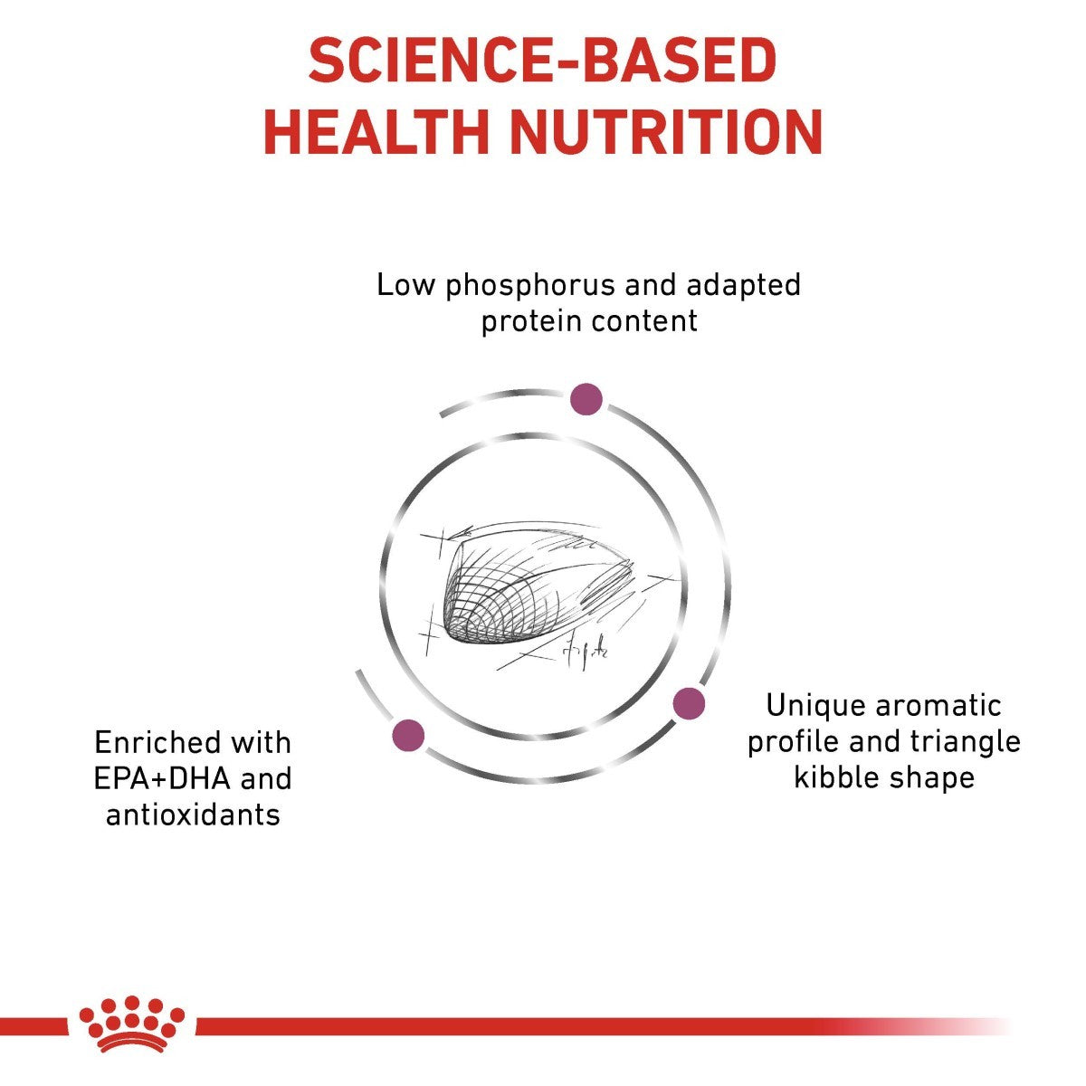Royal Canin Renal Special Dry Food for Cats