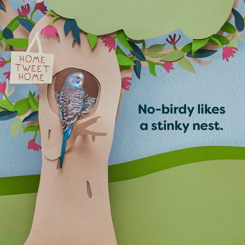 Cartoon bird perched in a treehouse with text 'Home tweet home' and 'No-birdy likes a stinky nest.'