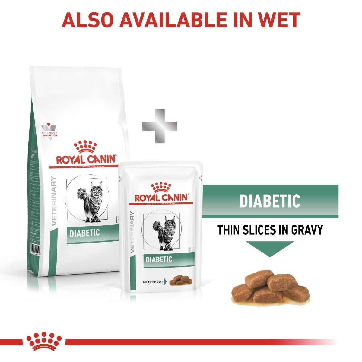Royal Canin Veterinary Diet Diabetic cat food packaging with text indicating availability in wet form.
