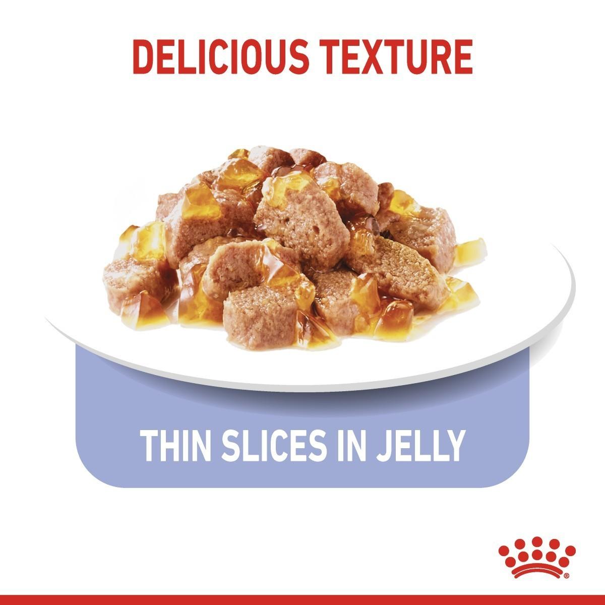 Dog food with thin slices in jelly on a white plate, labeled 'Delicious Texture' and 'Thin Slices in Jelly'.