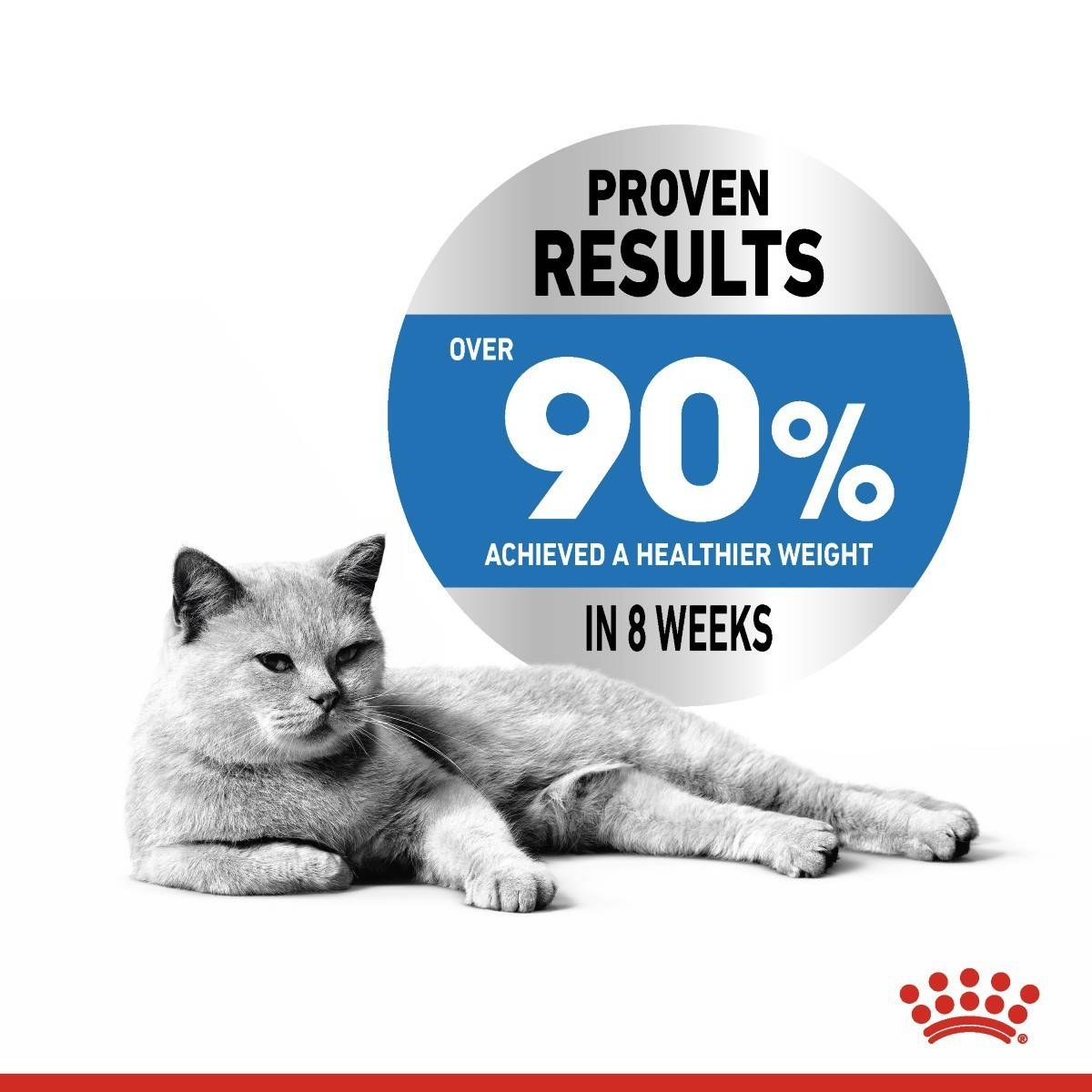 Cat lying down with a weight loss product label showing 'Proven Results' and weight loss statistics.