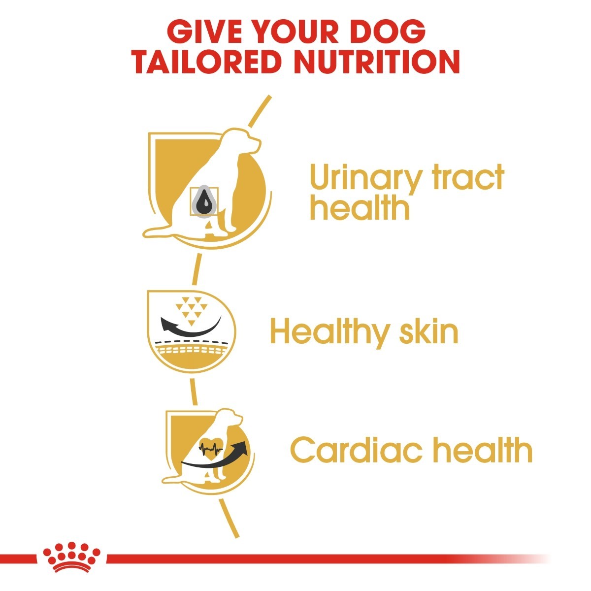 Advertisement for dog nutrition with icons and text on a white background