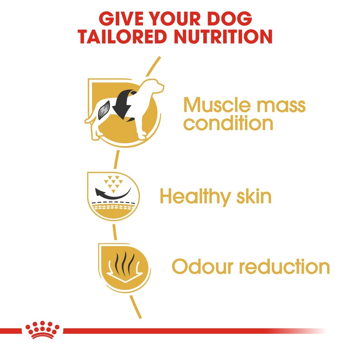 Dog nutrition benefits including muscle mass, healthy skin, and odor reduction on a white background.
