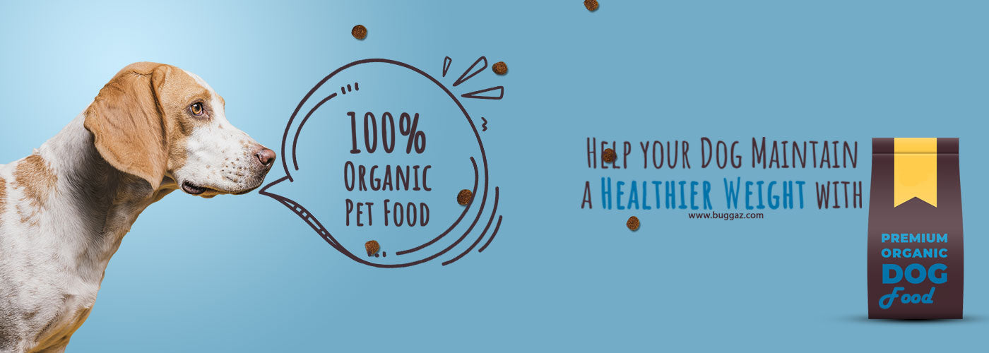 Organic Pet Food - buggaz.co.uk