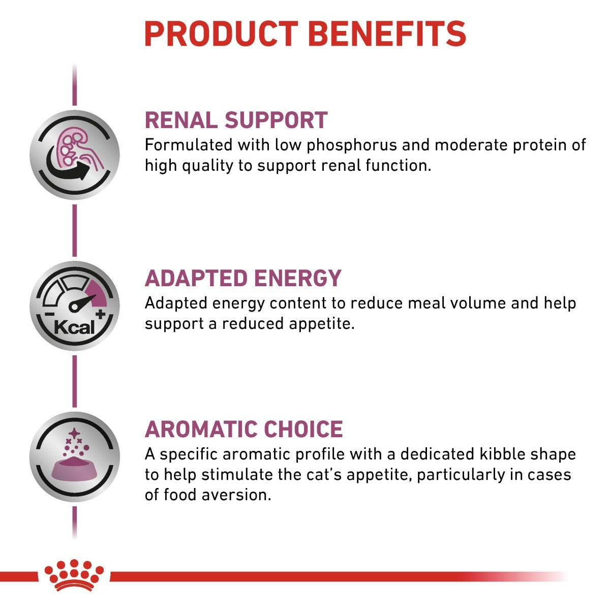 Royal Canin Renal Special Dry Food for Cats