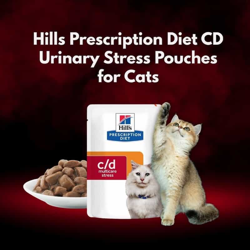 Hills Prescription Diet CD Urinary Stress pouches for cats with a cat and bowl of food on a red background