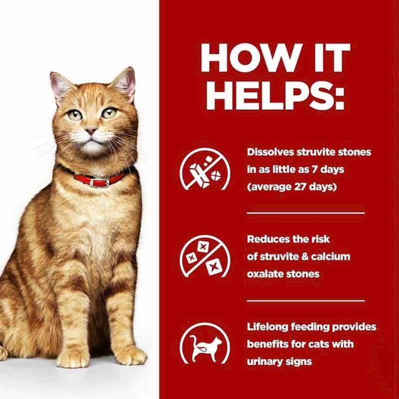 Cat with a red collar on a white background next to text about pet health benefits.