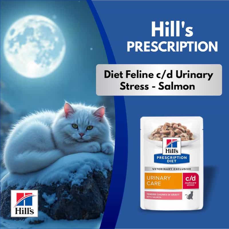 Hill's Prescription Diet Feline c/d Urinary Stress Salmon food packaging with a cat in the snow and moonlit sky.