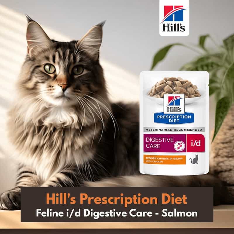 Cat sitting next to a package of Hills Prescription Diet Feline i/d Digestive Care Salmon food.