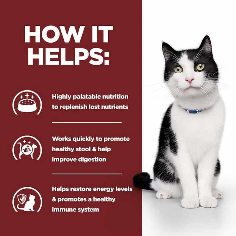 Cat sitting next to a text panel explaining the benefits of a pet product on a white background.