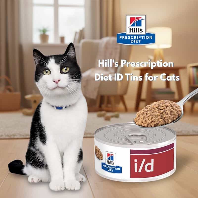 Cat sitting next to a can of Hill's Prescription Diet i/d food with a spoonful of food above it.