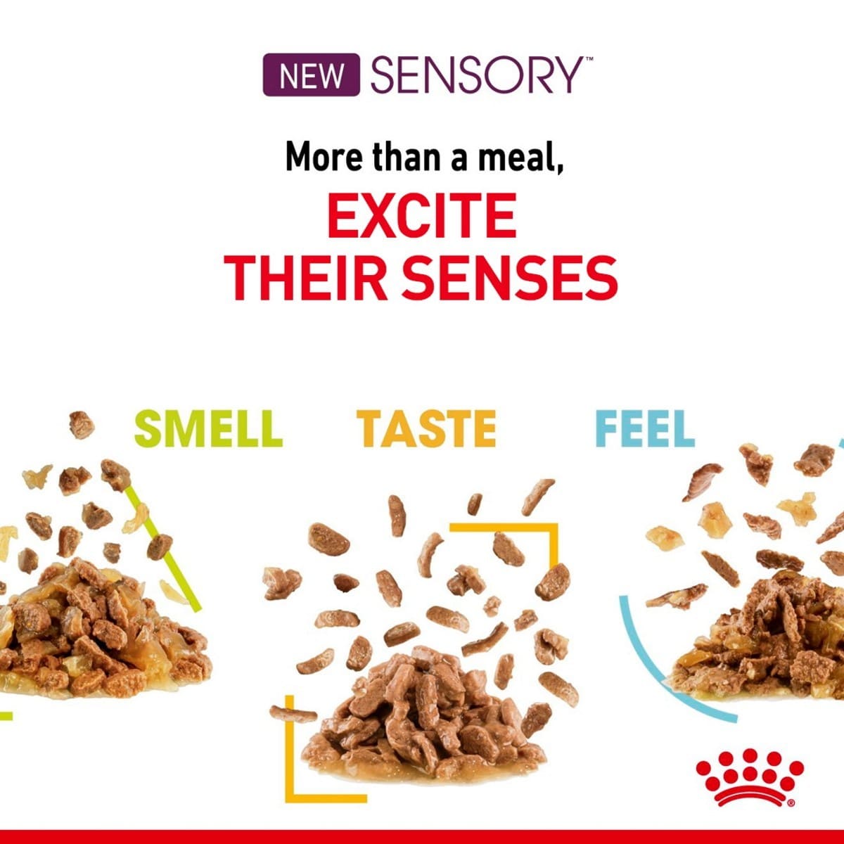 Advertisement for Sensory pet food with text 'More than a meal, Excite Their Senses' and visual elements of pet food.