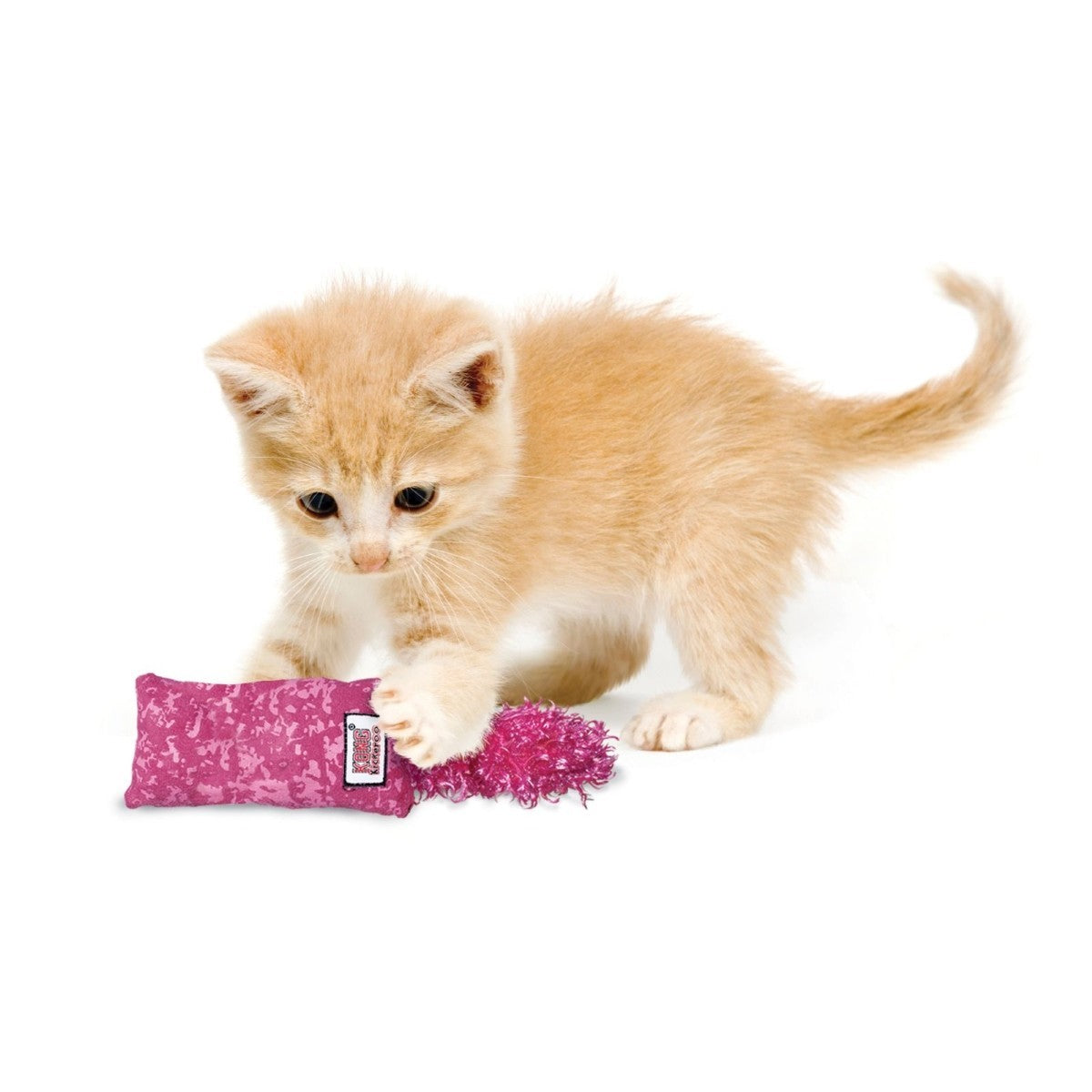 Kitten playing with a pink catnip toy on a white background