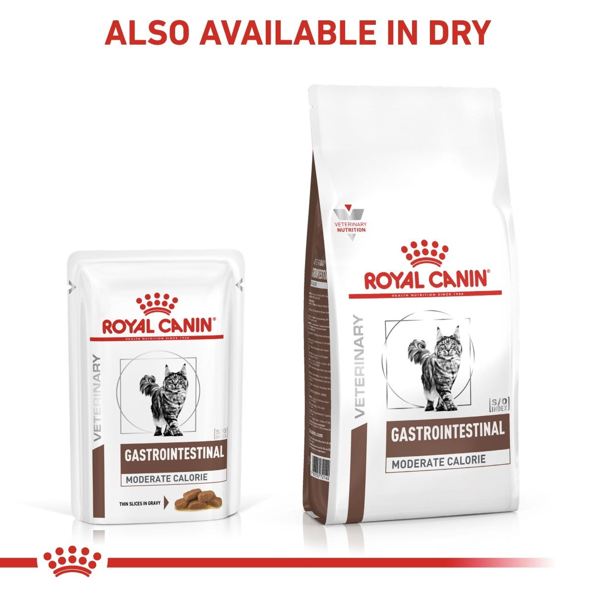 Royal Canin Gastro Intestinal Moderate Calorie Pouches for Cats