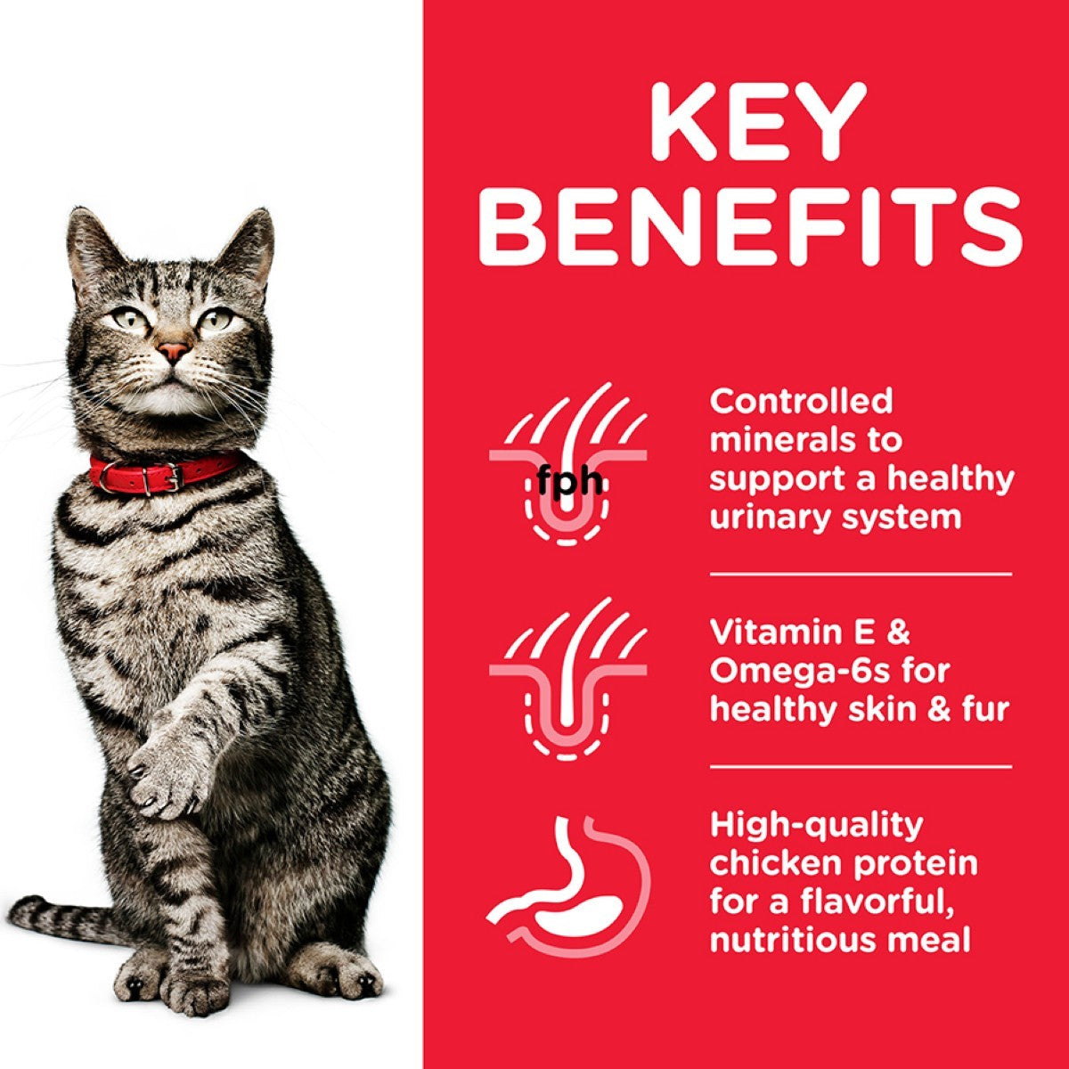Adult cat food for urinary health