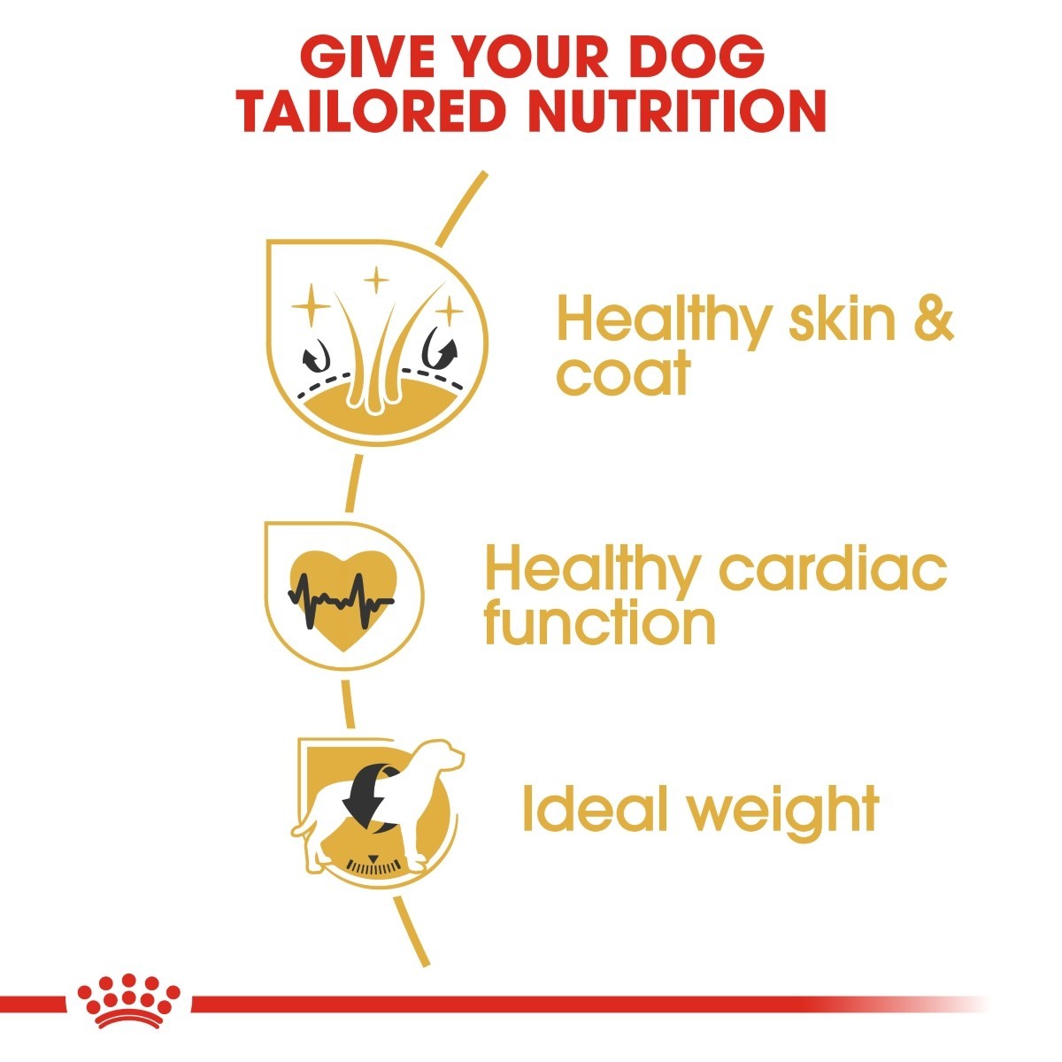 Royal Canin Golden Retriever Adult Dry Dog Food 12kg
