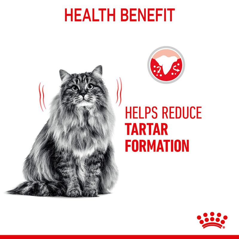 Cat with text indicating health benefit of reducing tartar formation on a white background