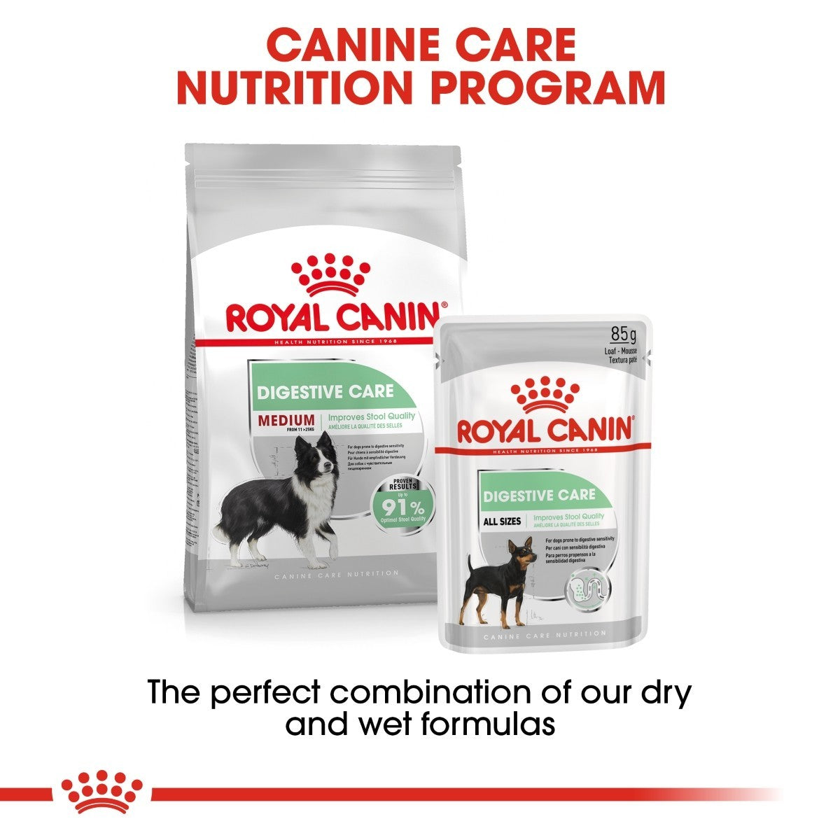 Royal Canin digestive care dog food packages on a white background