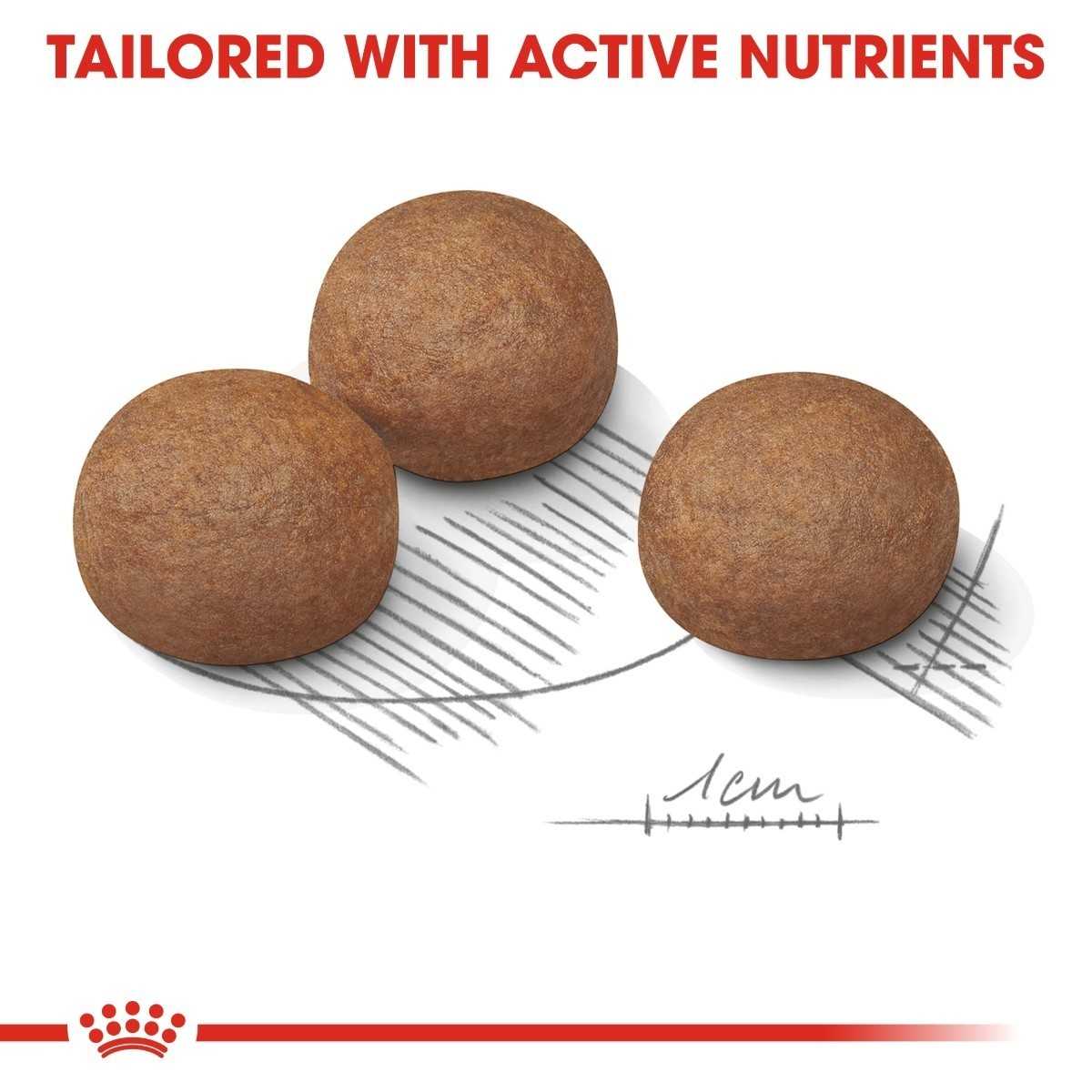 Three brown pet treats on a white background with text about active nutrients.