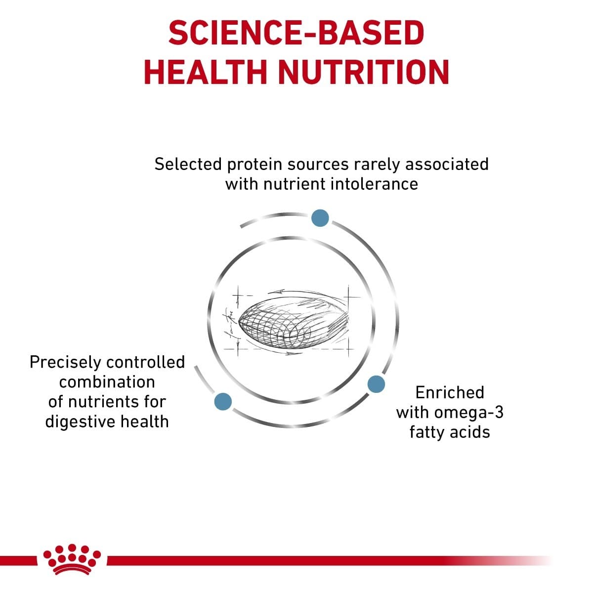 Diagram of science-based health nutrition with text and a protein source illustration on a white background.