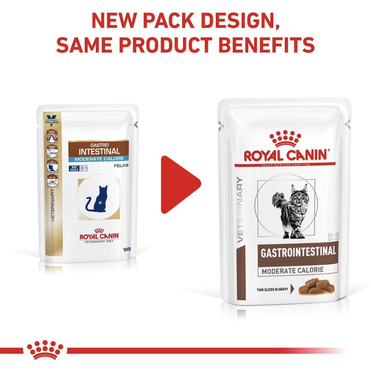 Two packages of Royal Canin Veterinary Diet Gastrointestinal Moderate Calorie for cats with a red play button in the middle.