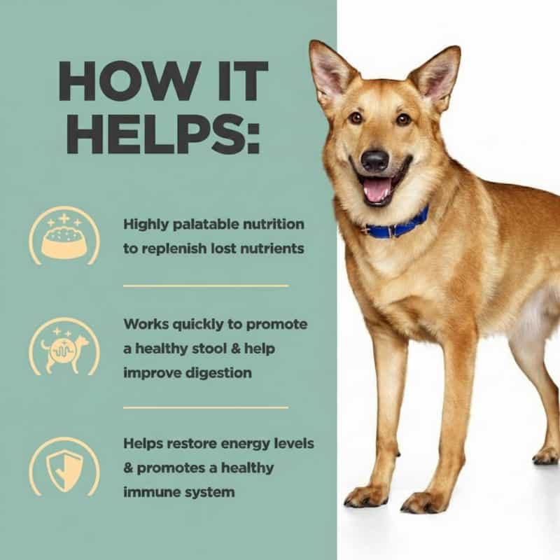 Dog with text on a green background about the benefits of a product for dogs.