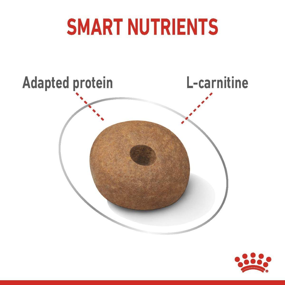 Dog treat with 'Smart Nutrients' text and a Royal Canin logo on a white background