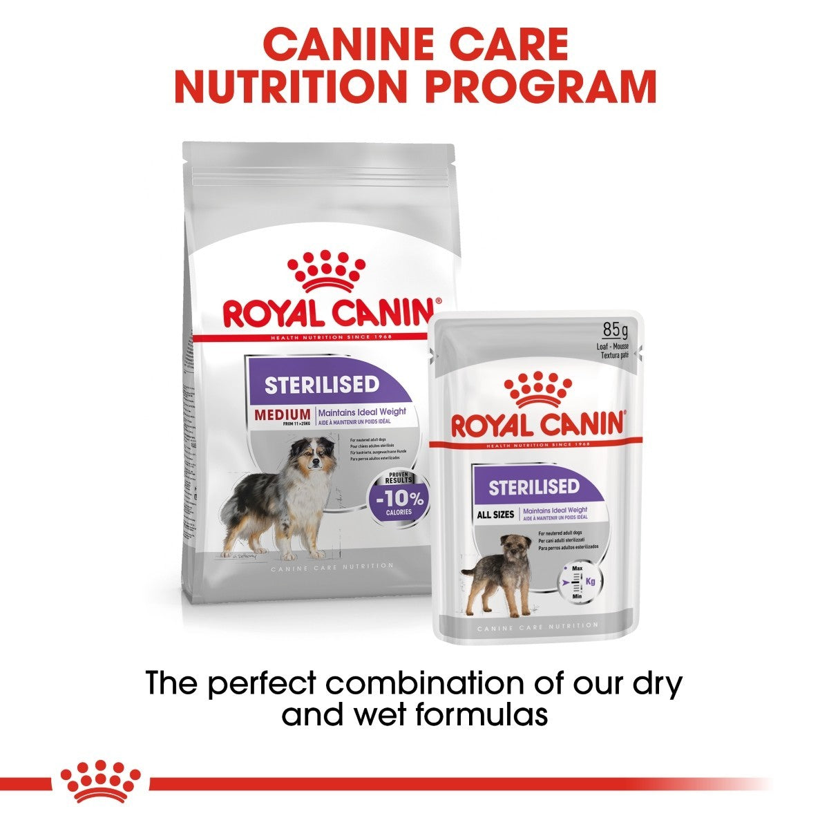 Royal Canin dog food packages for sterilised dogs on a white background