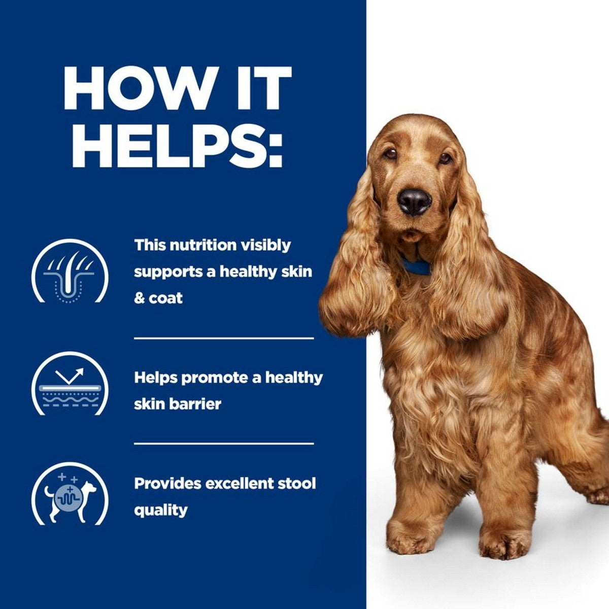 Hydrolyzed protein for dogs