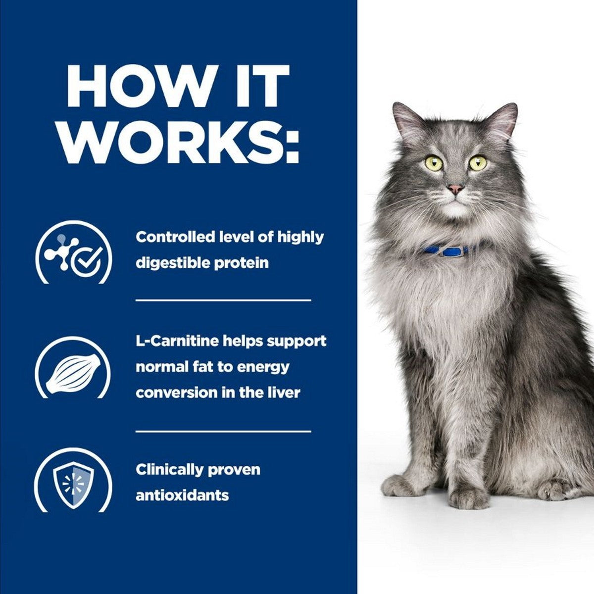 Cat liver support formula