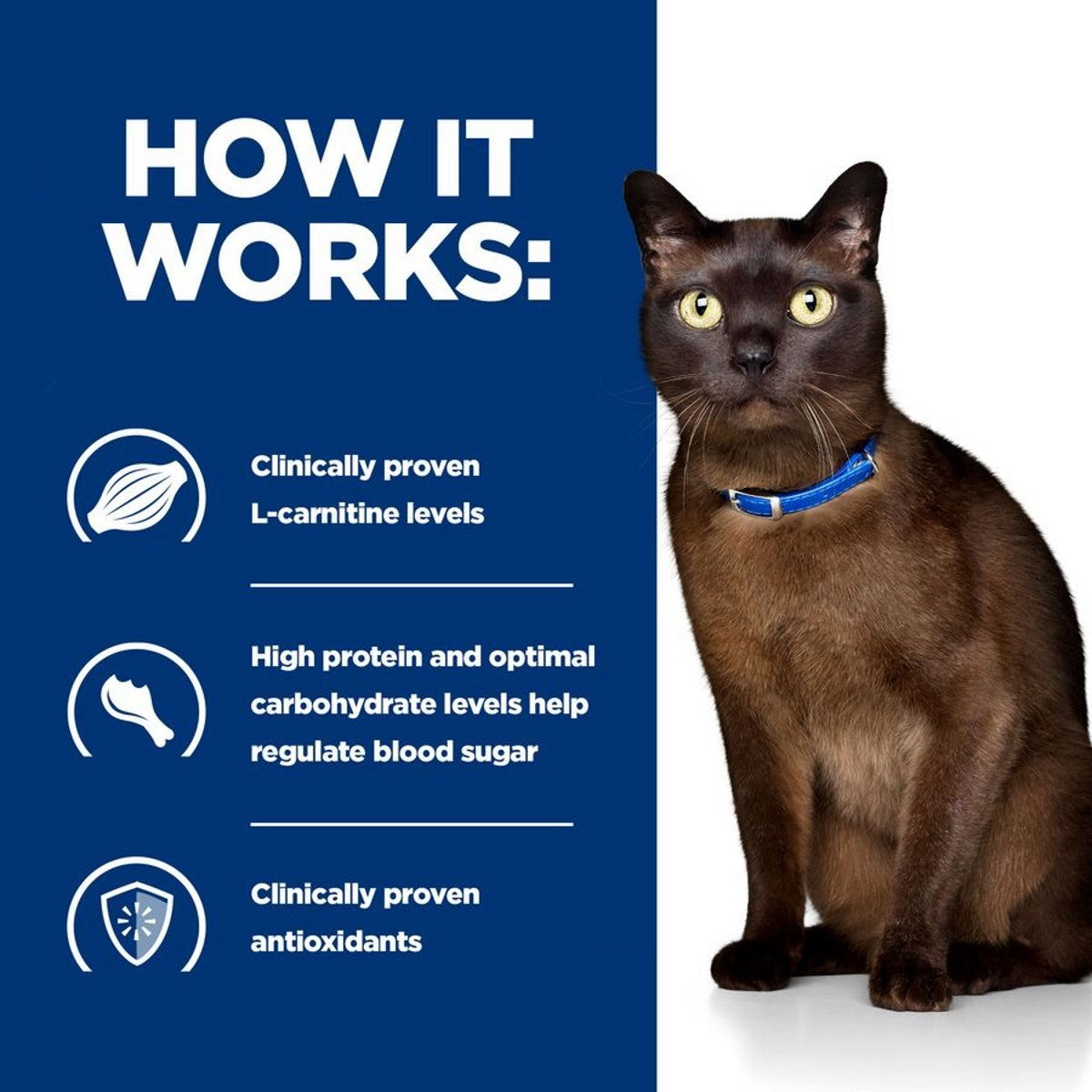 m/d vet cat food