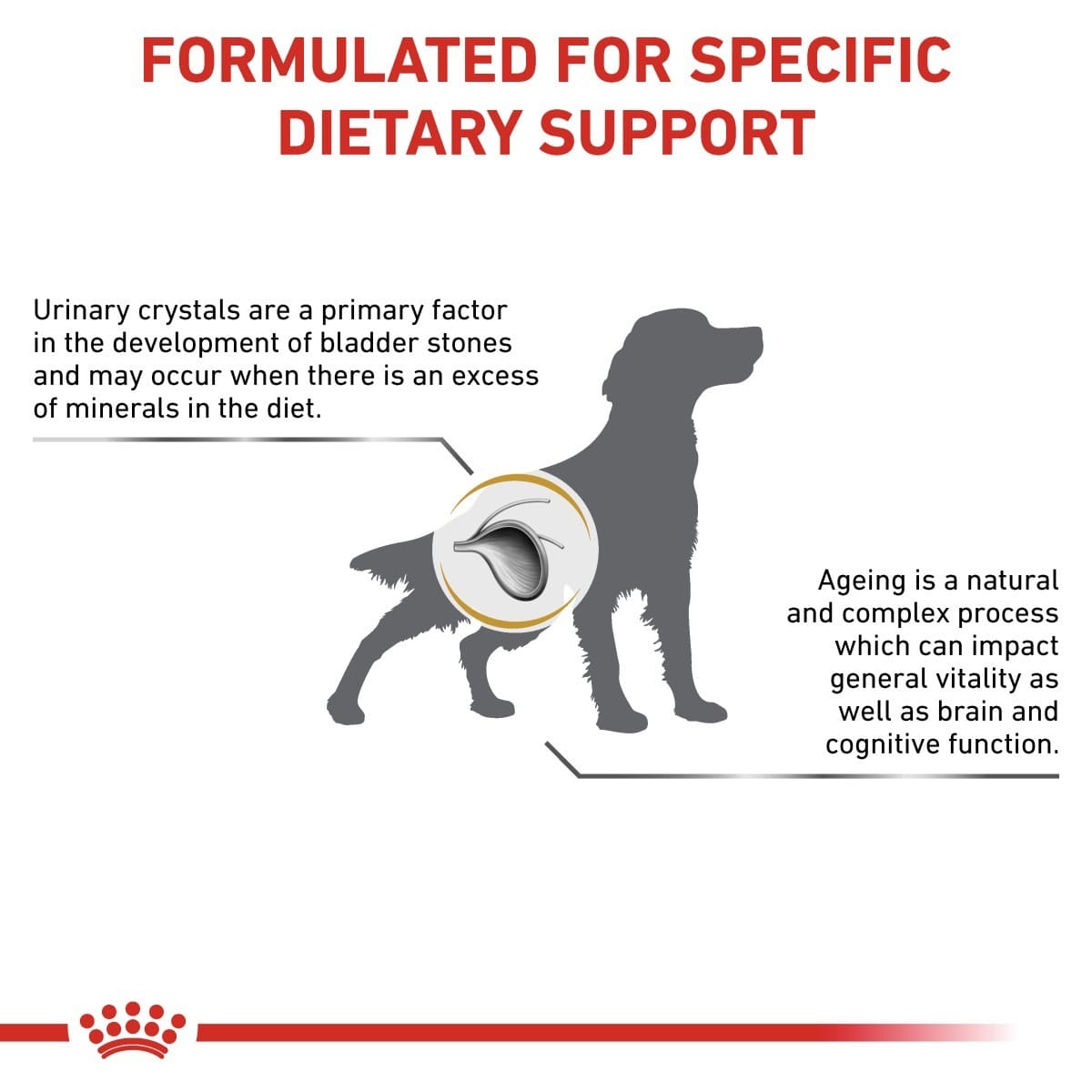 Royal Canin Urinary S/O Ageing 7+ Dry Food for Dogs