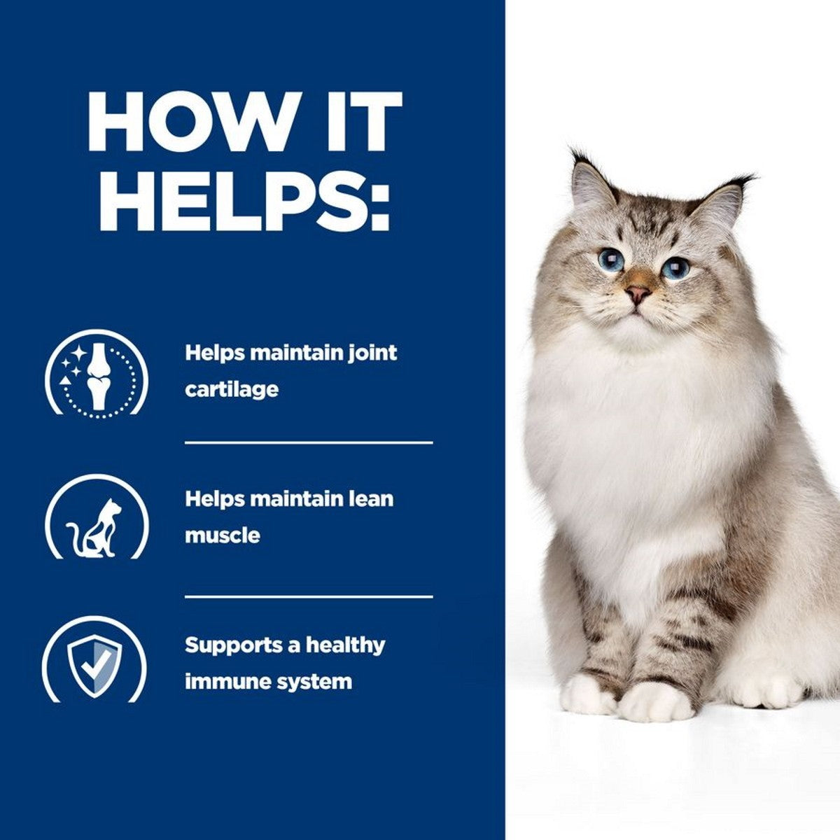 Dry food joint formula