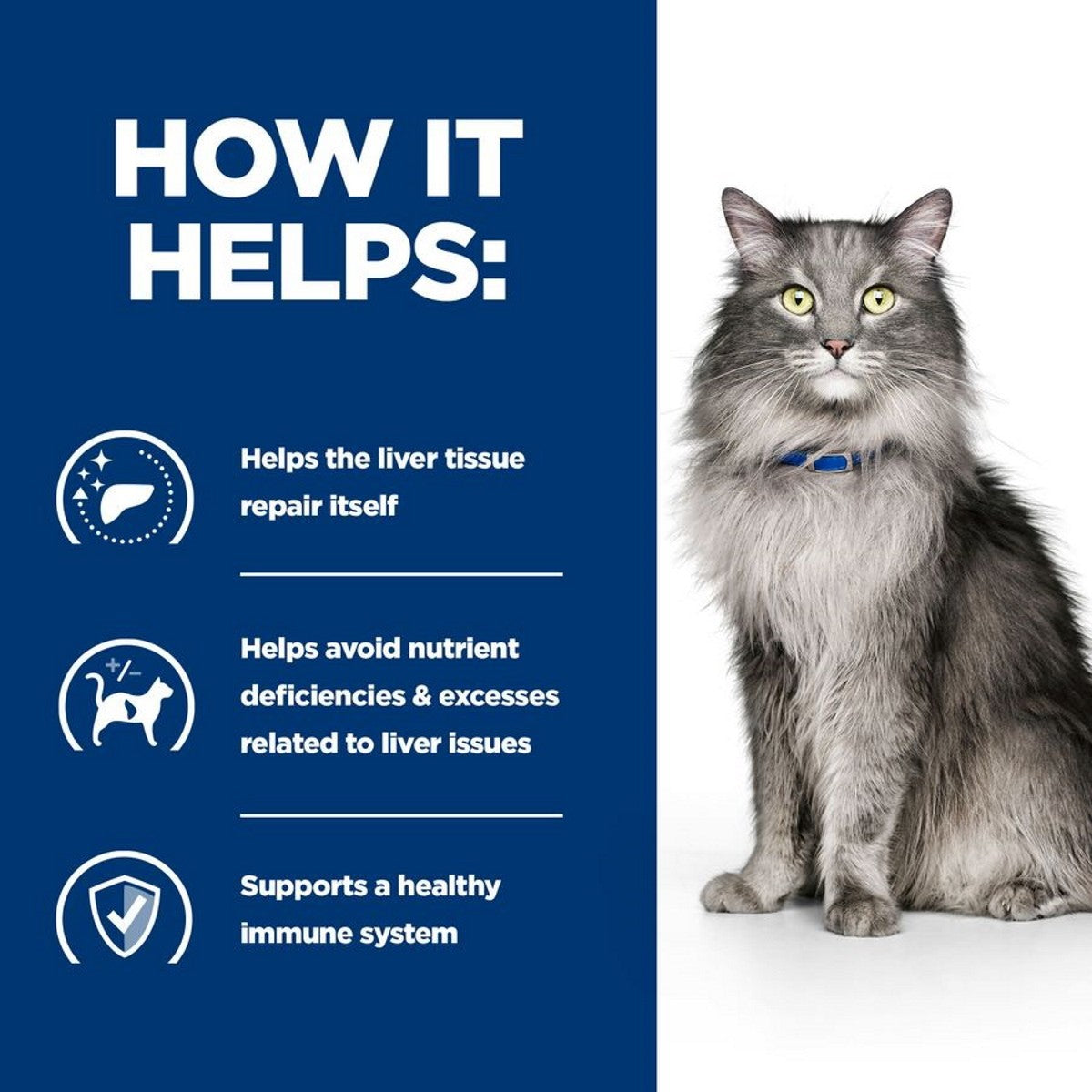 Veterinary liver diet cats