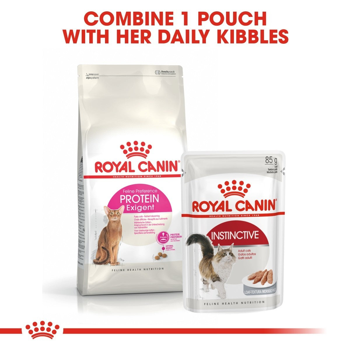 Two Royal Canin cat food packages on a white background with text.