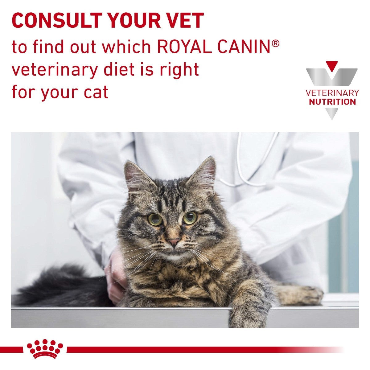 Cat being examined by a vet with Royal Canin Veterinary Diet text and logo.