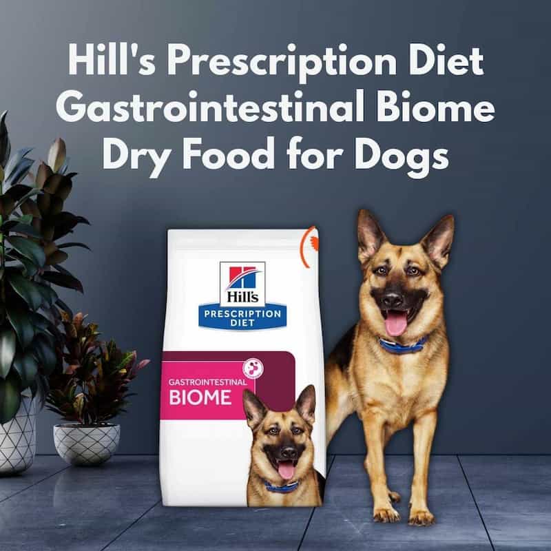 Hill's Prescription Diet Gastrointestinal Biome dry food for dogs with a dog sitting next to it against a dark background.