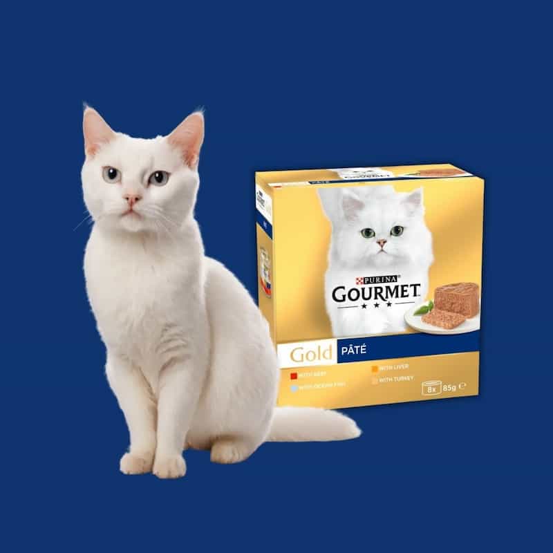 White cat sitting next to a box of Nestlé Gourmet Gold cat food on a blue background