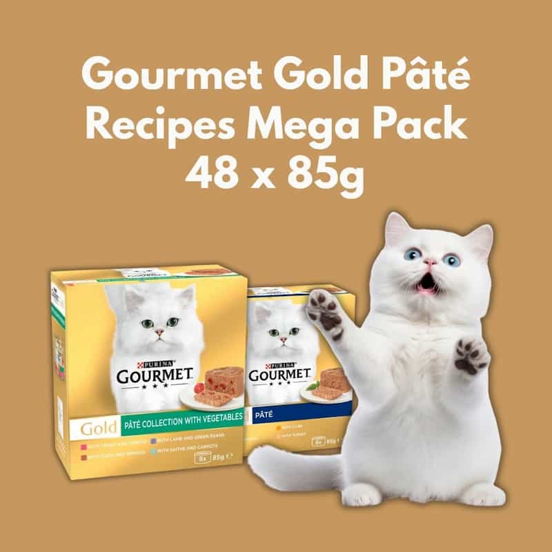 Gourmet Gold Páté cat food packaging with a cat on a brown background