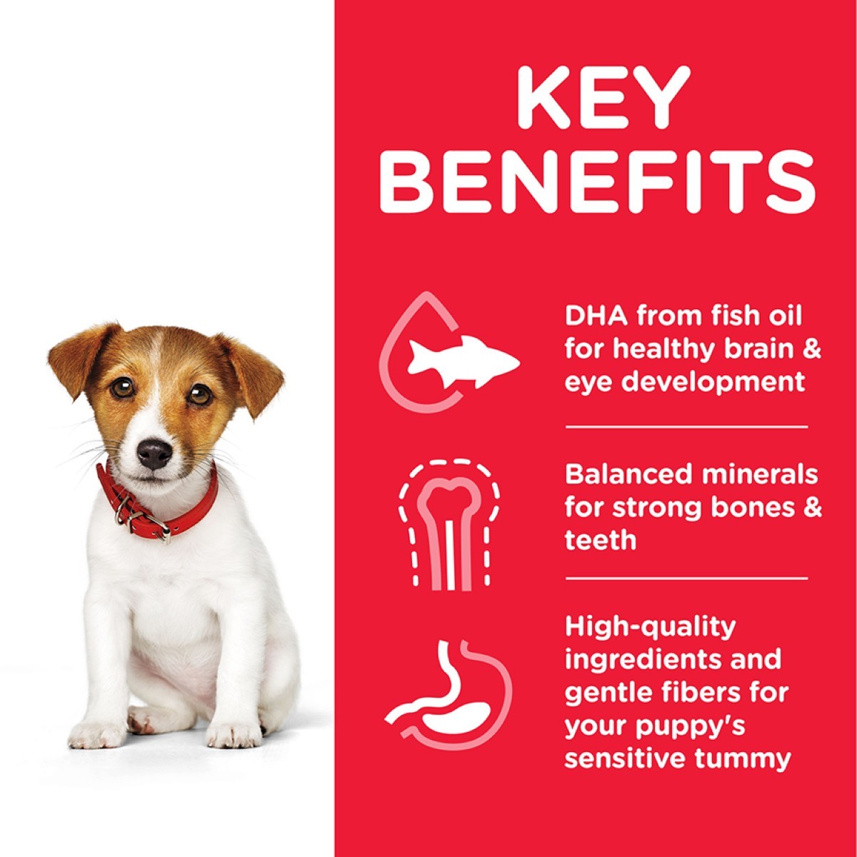 Dog with a red background and key benefits text on a product label.
