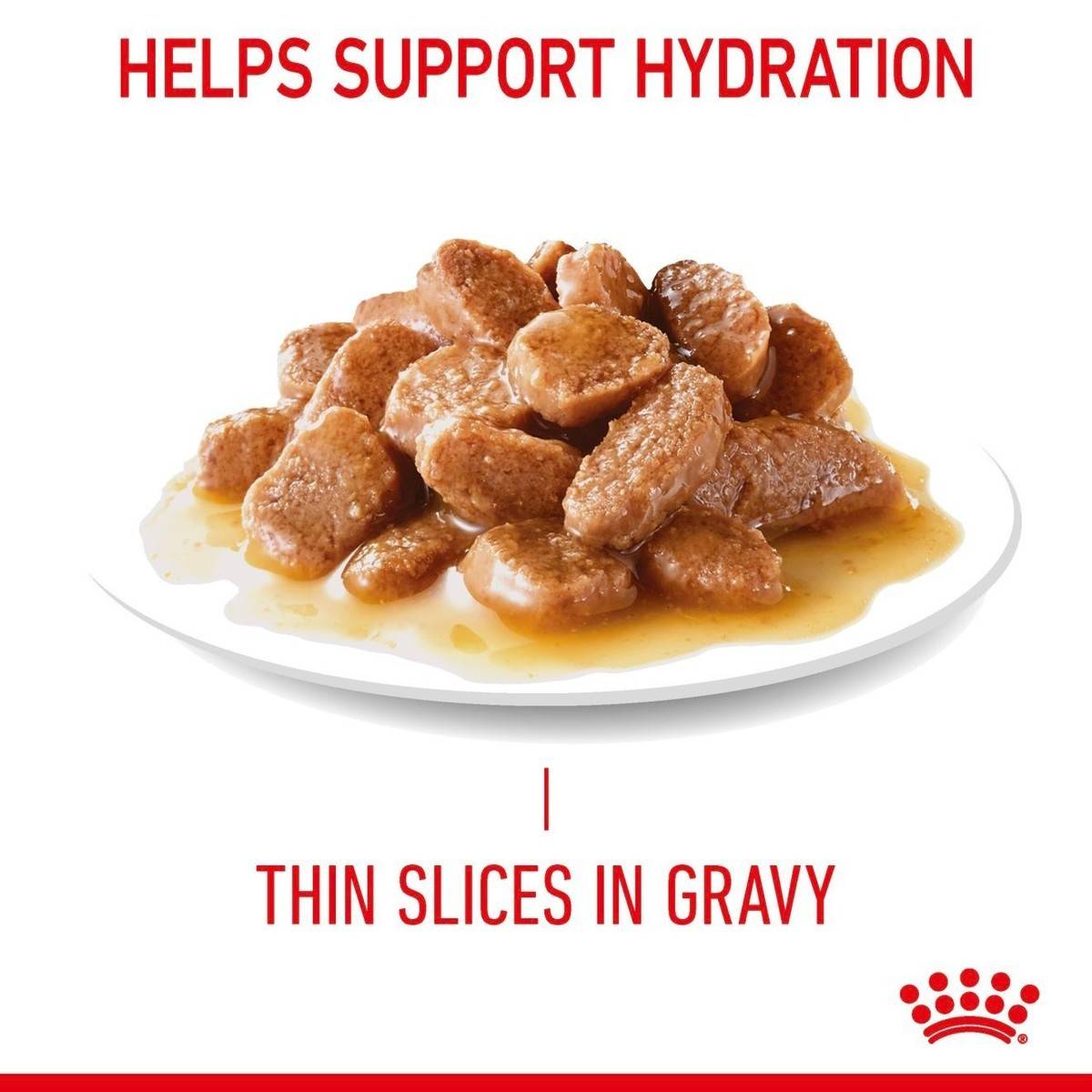 Dog food with thin slices in gravy on a white plate, labeled 'Helps Support Hydration' and 'Thin Slices in Gravy'.