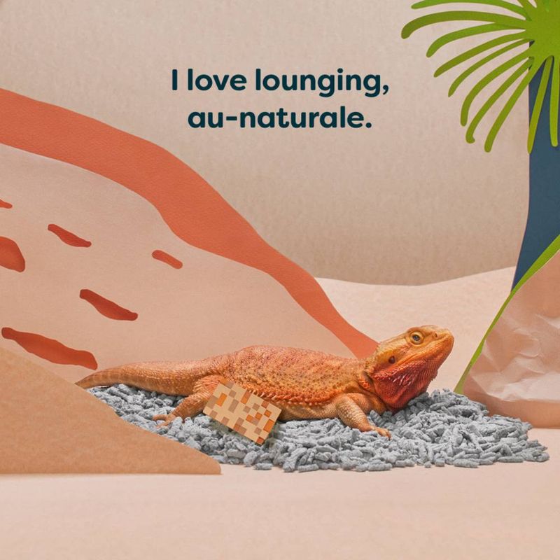 Lizard lounging on a rock with a desert landscape and text 'I love lounging, au-naturale.'