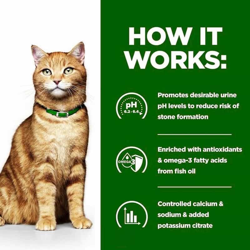 Cat with a green collar on a white background next to green text explaining product benefits.