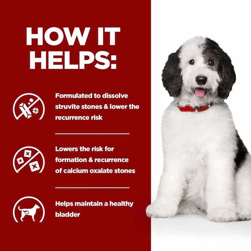 Dog with a red background and text about pet health benefits