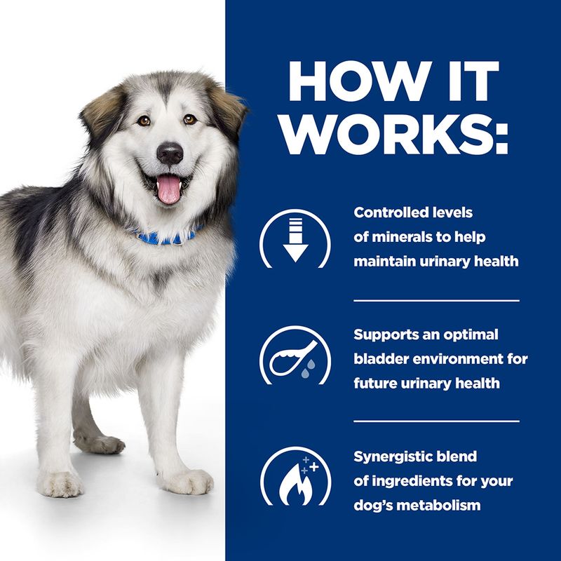 Dog with a blue background and text about urinary health and bladder environment.