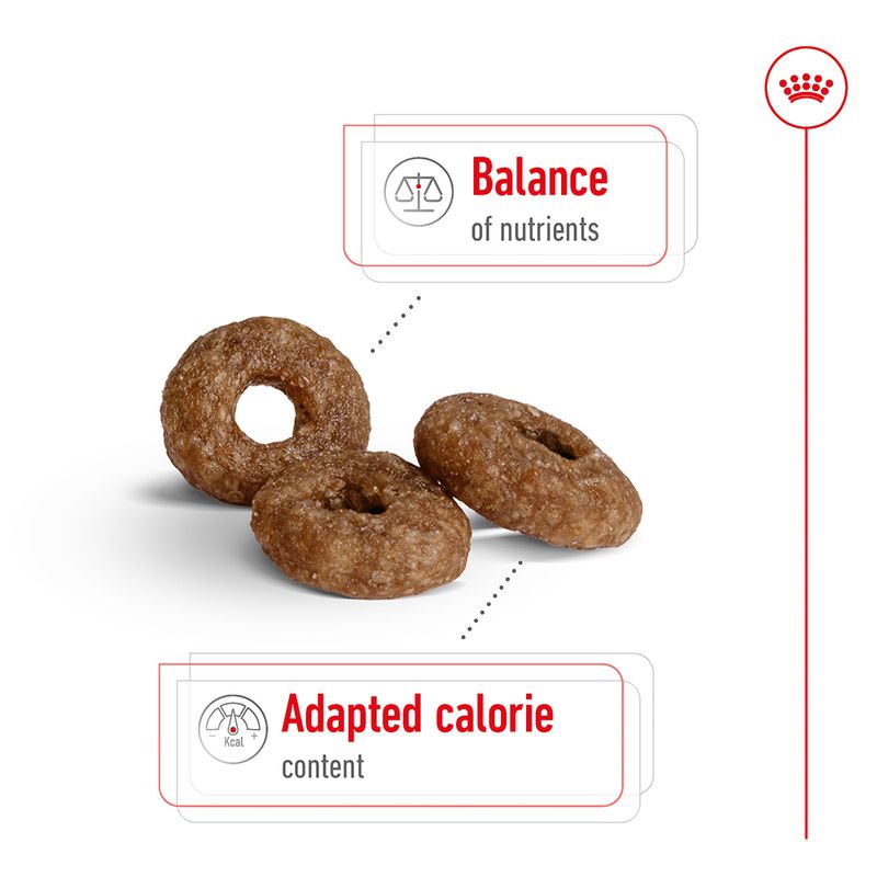 Three brown dog treats with nutritional balance and calorie content labels on a white background