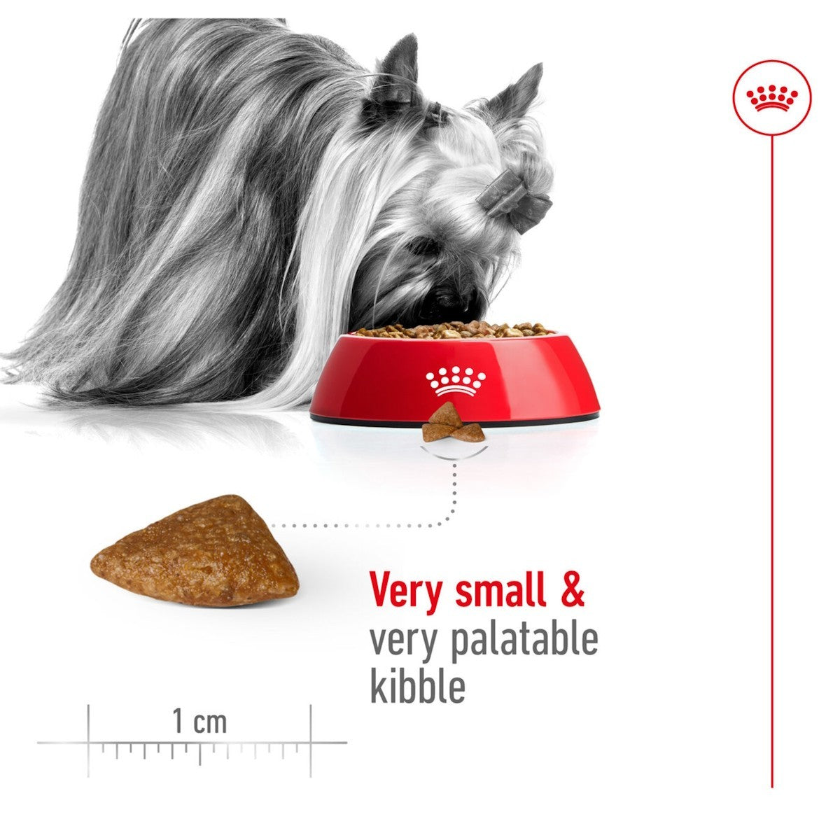 Dog eating from a red bowl with kibble, labeled 'Very small & very palatable kibble'.