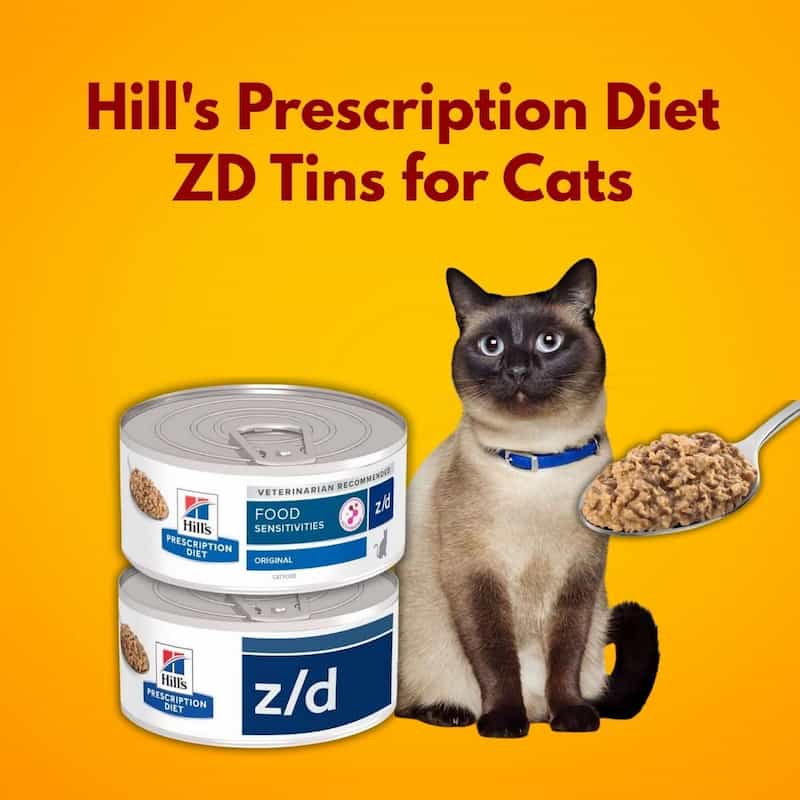 Hill's Prescription Diet ZD Tins for Cats with a cat and food on an orange background