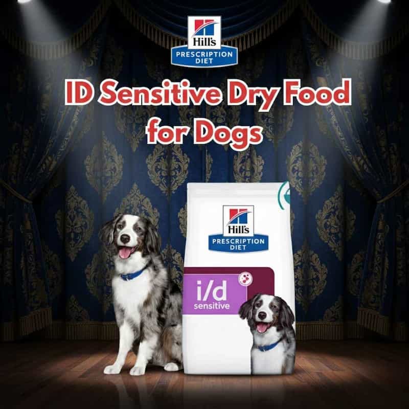 Hills Prescription Diet i/d sensitive dry food for dogs with a dog in front of it on a stage-like setting.